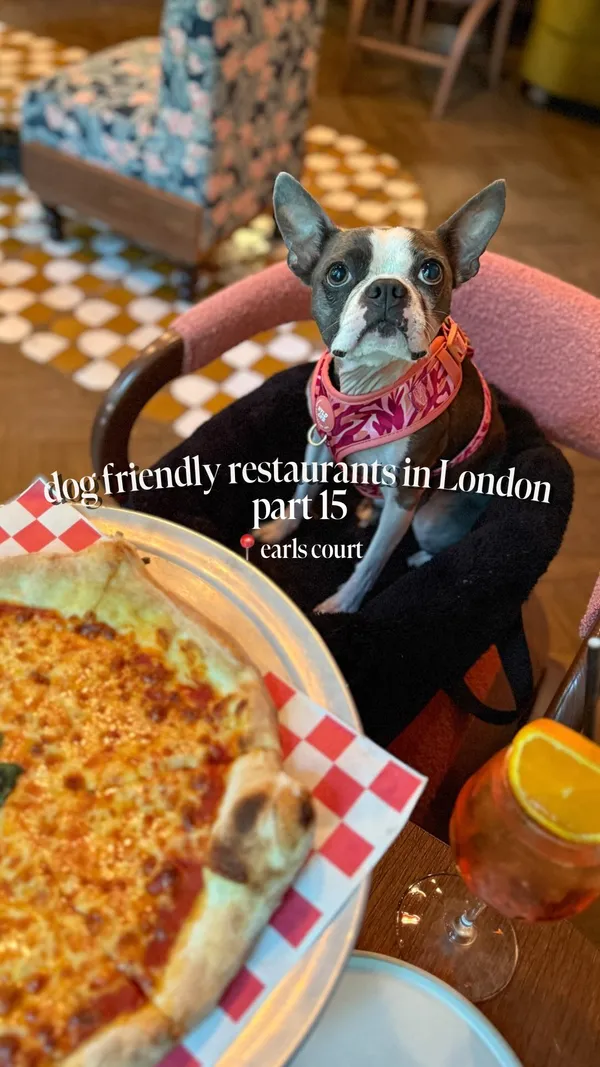 The video showcases a dog-friendly brunch at Eve x Proper Slice in Earls Court, London. It features shots of the restaurant's interior, including a bar area and a conservatory, highlighting its aesthetic appeal. The video prominently features a small dog and shows NYC-style pizzas (one Margherita-like with burrata, one plain cheese) and a side salad. Text overlays mention unlimited pizza and salad for £20 for 90 minutes, £5 cocktails, and that dogs are allowed throughout.