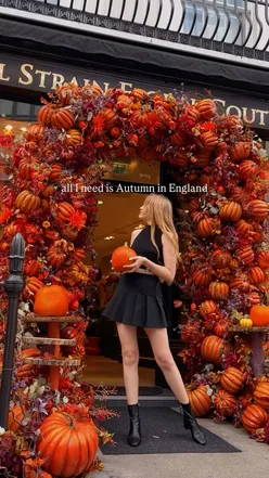 Scenic autumn landscape in England with colorful foliage and fallen leaves, capturing the essence of the season.