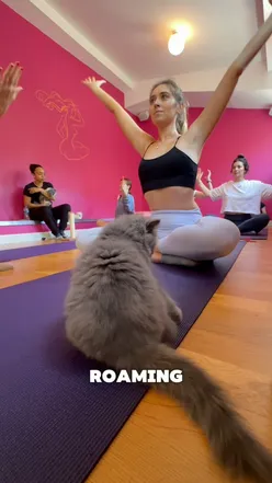 Yoga session with kittens in London, featuring cuddly cats and playful ambiance at Tara Yoga Centre or Chocolate Studios.
