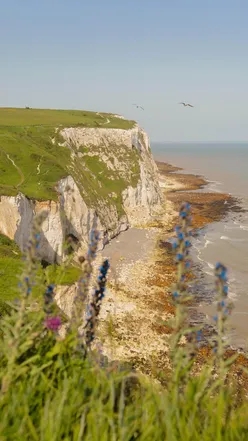 Three dreamy day trip destinations from London: Canterbury, Bath, and the Cotswolds, showcasing UK travel gems.