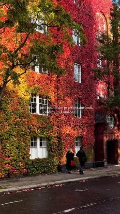 Autumn scenery in London showcasing vibrant fall colors, perfect for planning your next trip with a friend.