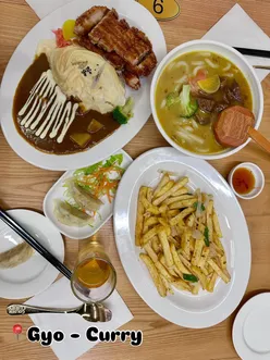Delicious Japanese dishes at Gyocurry in Birmingham: curry beef brisket, katsu chicken, gyoza, and salt & pepper chips.