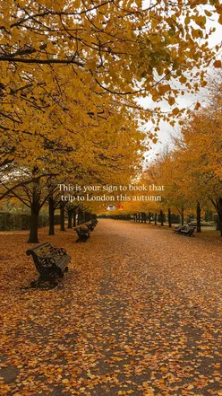 Colorful autumn leaves falling in a picturesque London street, perfect for an autumn 2025 visit.