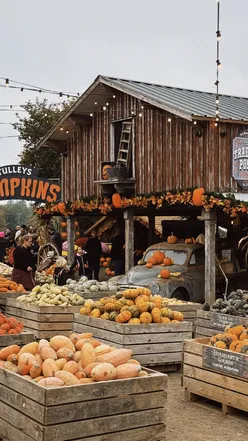 Family enjoying pumpkin picking and autumn treats at Tulleys Pumpkins near London, surrounded by colorful fall foliage.