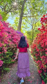 A short, aesthetic reel showcasing the Isabella Plantation in Richmond Park, drawing a visual comparison to the Ghibli film 'Spirited Away' through shots of blooming rhododendrons and garden paths.