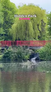 A short, aesthetic montage showcasing the scenery of Sean Walsh Memorial Park in Dublin, featuring a lake, a red bridge, wildlife, and walking paths.