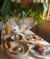 A bright, high-quality flat-lay photograph of a brunch spread at Olimera, featuring avocado toast, Turkish eggs, pancakes, and sweetcorn fritters, set against a lush green plant wall.