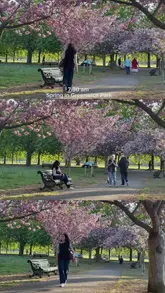 A calm, aesthetic 'day in the life' reel showcasing a spring morning in Greenwich, London, including a visit to Greenwich Park, The Pavilion Cafe, the Royal Observatory, and a walk along the Thames.