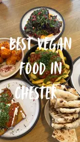 A short, energetic montage showcasing a variety of vegan dishes, cocktails, and the interior of Shrub in Chester, highlighting a positive dining experience.
