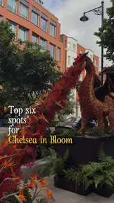 A short, listicle-style video showcasing six floral installations for the 'Chelsea in Bloom' event in London. The video uses a series of clips to highlight different displays, including an astronaut, a dragon, and a floral globe, providing a quick guide for viewers.