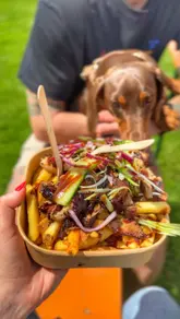 A montage video showcasing the Great British Food Festival, featuring various street food stalls, outdoor seating areas, and attendees enjoying the event with their dogs. The video captures the sunny atmosphere and highlights specific food items like hot dogs, loaded fries, and ice cream.