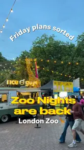 A montage-style recap of an evening at London Zoo's 'Zoo Nights' event, featuring shots of various animals, street food stalls, a puppet demonstration, a VR experience, and live entertainment.