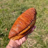 A close-up, handheld shot of a caramel miso apple turnover, showcasing the laminated pastry layers against a blurred outdoor background.