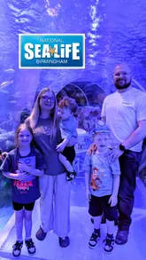 A montage of a family's visit to Sea Life Birmingham, featuring various marine life exhibits and interactive activities for children.