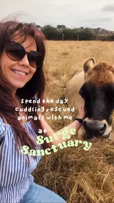 A day-in-the-life vlog visiting Surge Sanctuary, featuring interactions with rescued farm animals and a lunch stop at Unity Diner.