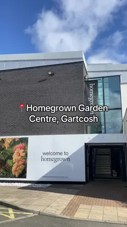 Delicious food at Homegrown Garden Centre, Gartcosh: lattes, baked macaroni, tacos, and cakes in a charming setting.