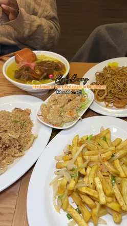 Enjoying beef brisket curry and calamari at Gyo Curry, Birmingham - a delicious food experience!