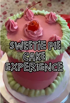 Decorative cake designs created by a cake enthusiast at an event, showcasing creativity and fun in Dublin.