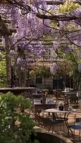 A short, aesthetic montage showcasing the wisteria-covered outdoor seating area of Petersham Nurseries cafe, featuring shots of the venue, coffee, and cake.