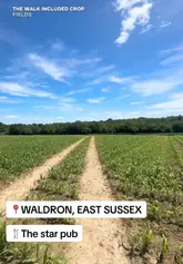 The video follows a couple and their baby on a 2-hour 15-minute loop walk in Waldron, East Sussex, which includes a stop at The Star Pub. The creators showcase the pub's beer garden, table service, and food offerings, including a seafood platter and a Sunday roast, while also highlighting the dog-friendly nature of the route and the pub.